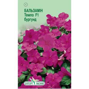 Бальзамин Темпо F1 бургунд - цветы, 5 семян, ТМ Элитсорт фото, цена